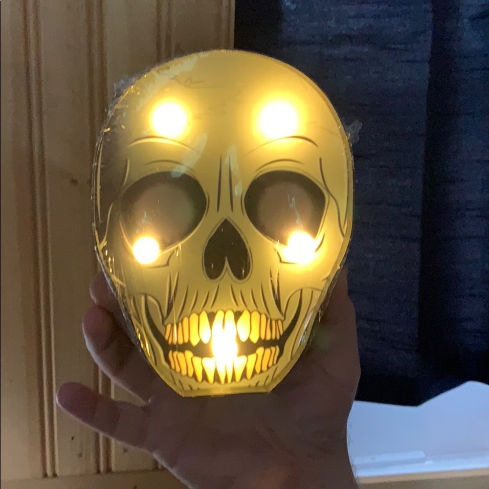 New Light up Skull with batteries 8 x 6